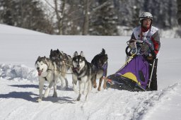 Kandersteg 2013